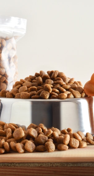 alimentation pour chien